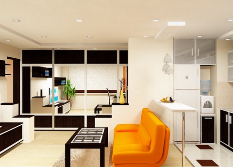 main purpose of the open kitchen is the need to increase free space