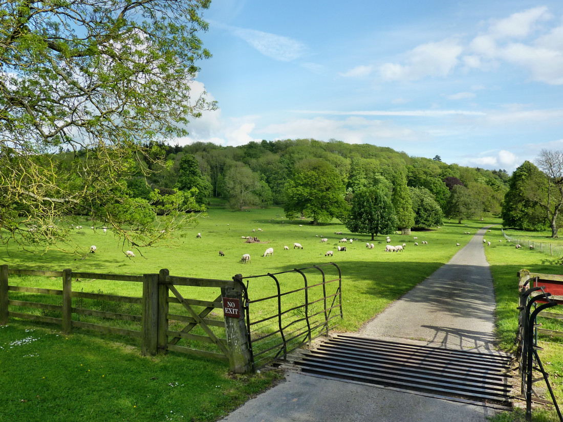Normandy Life A Very English May Day Tradition Dilwyn Village Show.