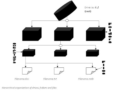 Hierarchical organization of drives, folders and files KCSE COMPUTER NOTES AND TUTORIALS