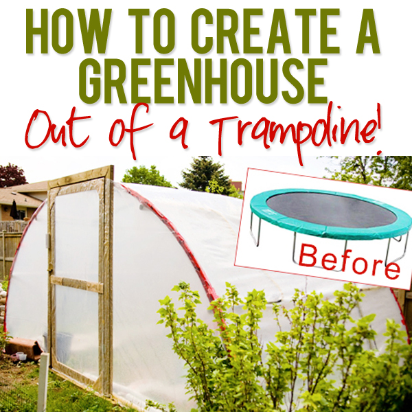 How to Create a Greenhouse out of a Trampoline! Idees And Solutions