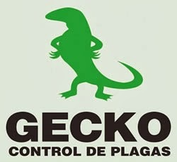 Gecko