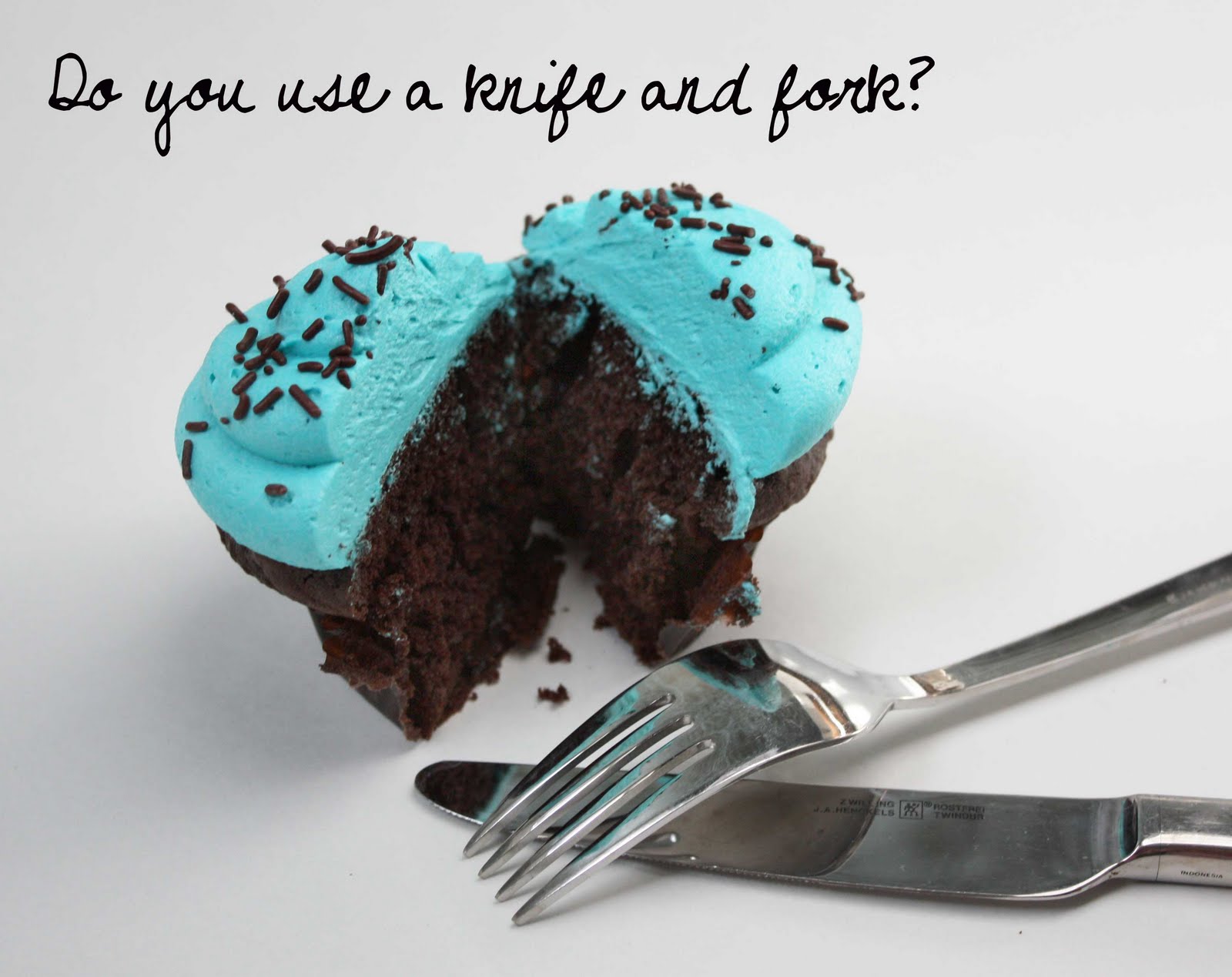 The Cupcake Activist March 2011