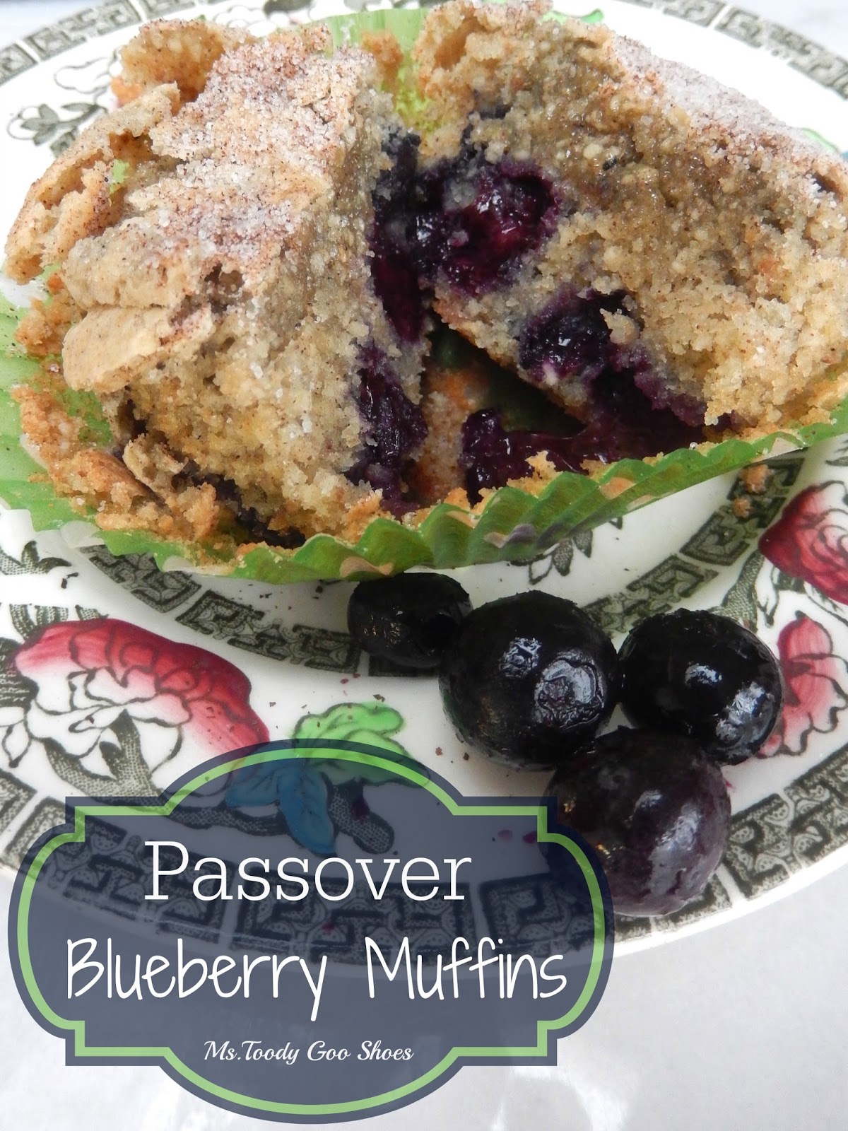 Ms. Toody Goo Shoes Blueberry Muffins for Passover