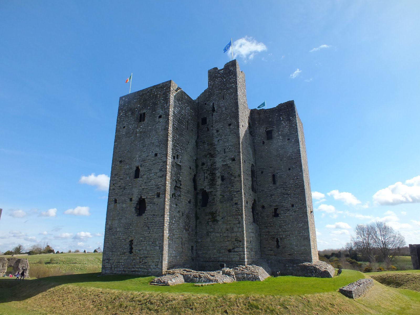 Dispatches from Dublin Terrific Trim!