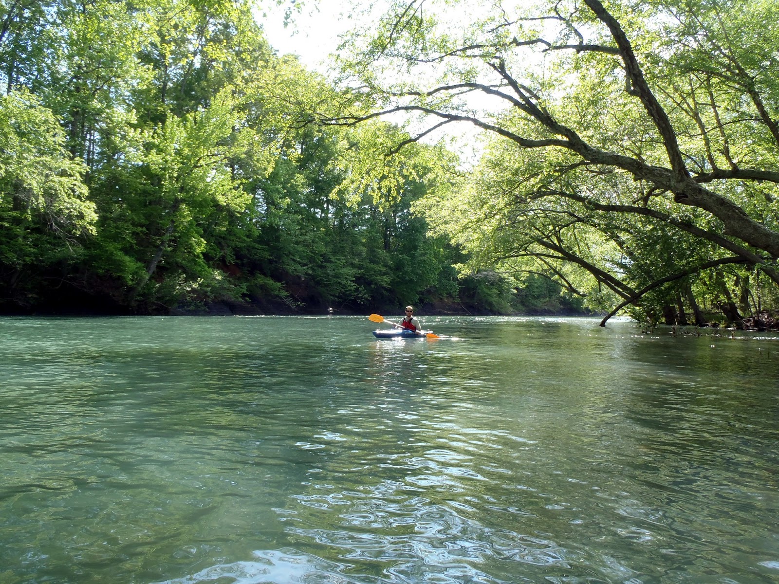 Mulberry River Trails of Arkansas (& now California)