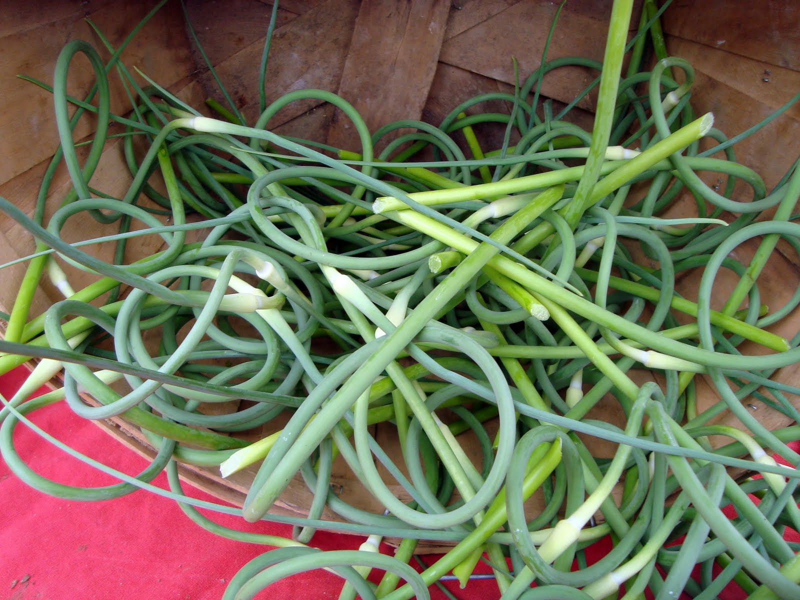 A Couple in the Kitchen Meatless Monday Spring Onion and Ricotta