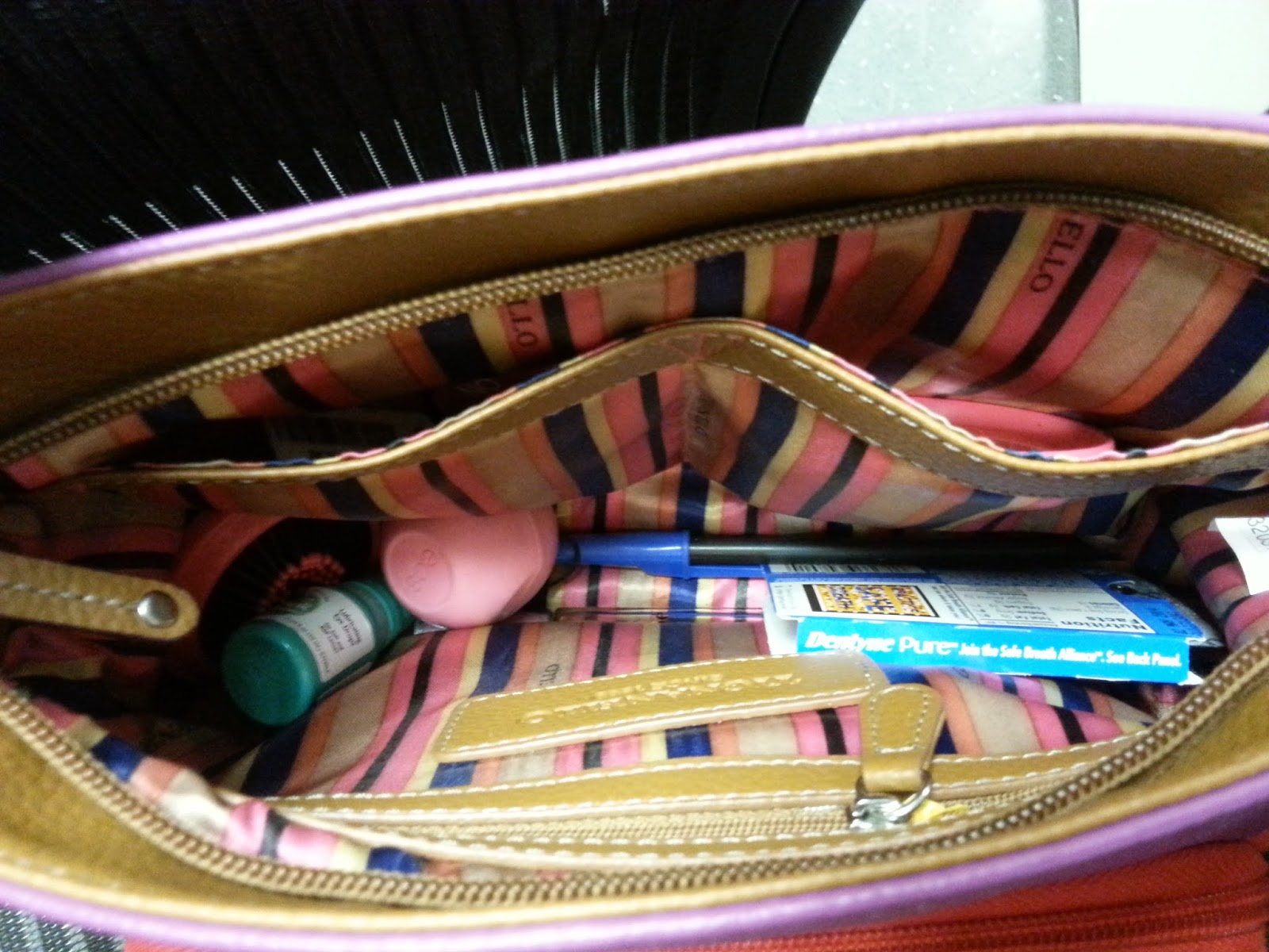 Moral of the Story If I Were a Purse...