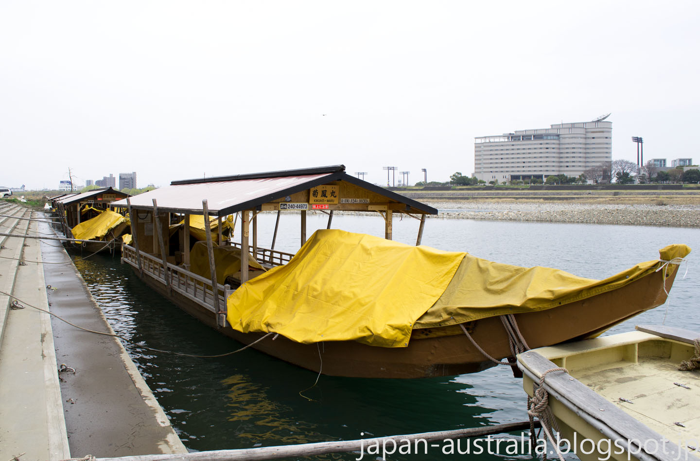 Japan Australia Cormorant Fishing in Gifu