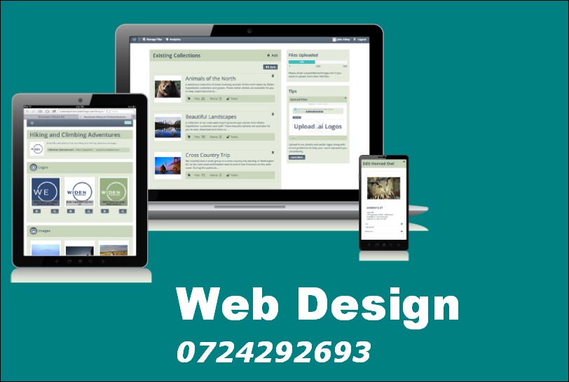 Web design professional