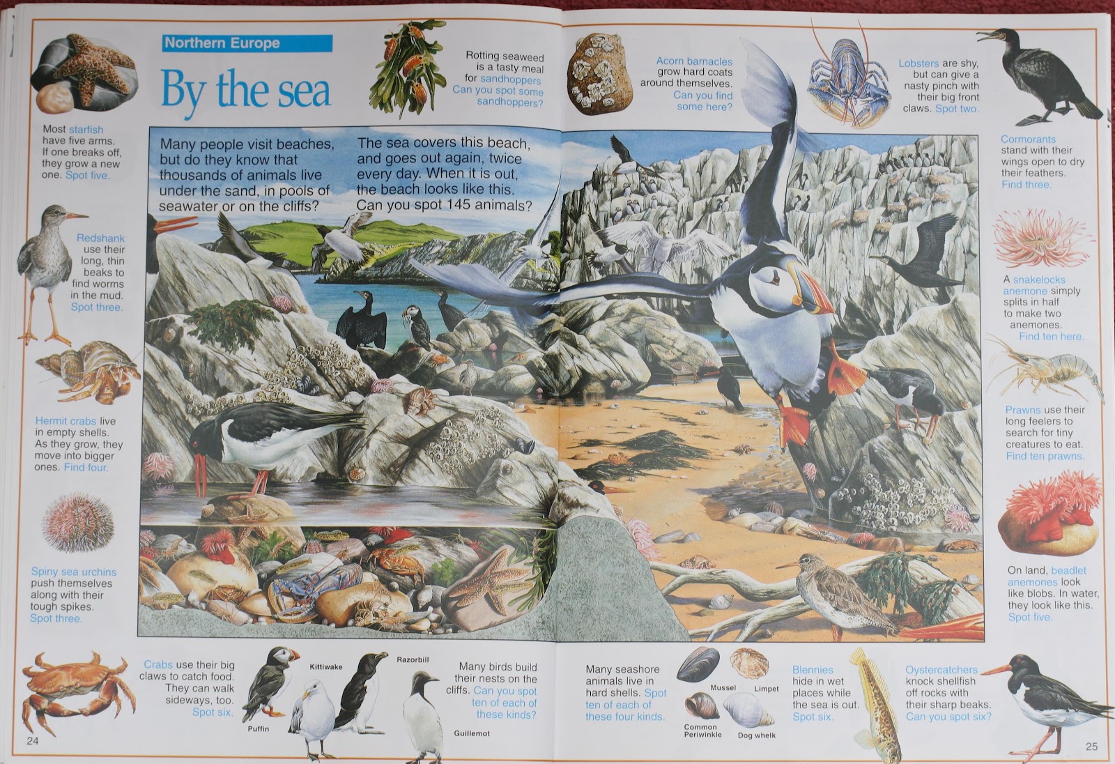 great animal pictures