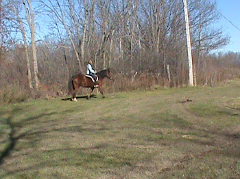 Riding in the Paddock