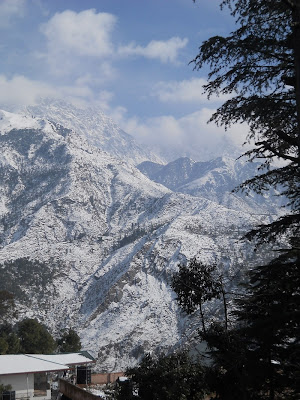 Горы в Дхарамсале зимой