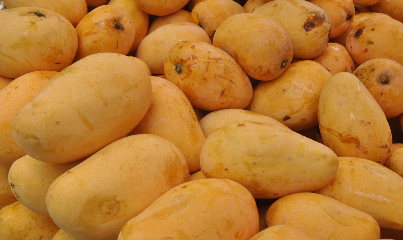 Imagenes Gratis De Frutas Y Verduras | banco de im 193 genes fotos gratis de frutas verduras Imagenes Gratis De Frutas Y Verduras | banco de im 193 genes fotos gratis de frutas verduras