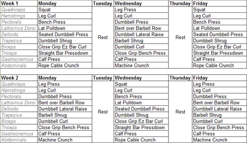 hypertrophy workout template brad weston fitness hypertrophy specific hst hypertrophy workout template brad weston fitness hypertrophy specific hst