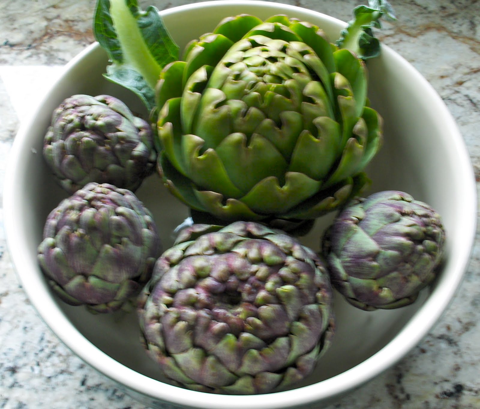 My California Garden in Zone 23 Love My California Garden Artichoke