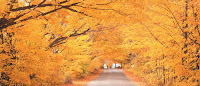 Autumn New England4