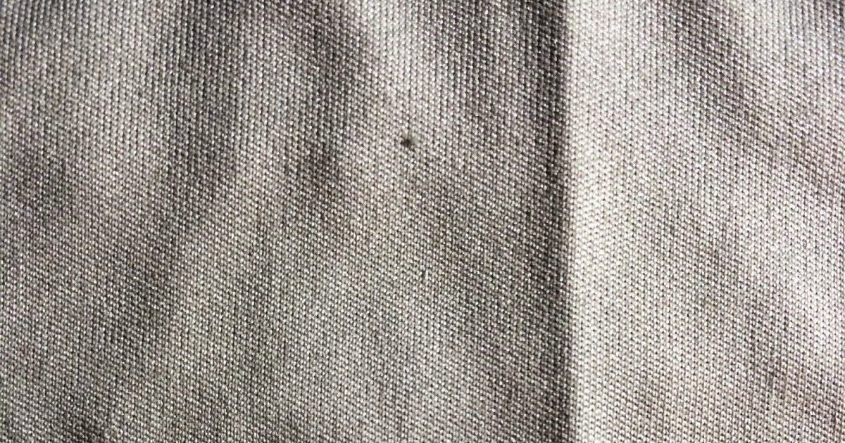 Zoomed in Fabric!