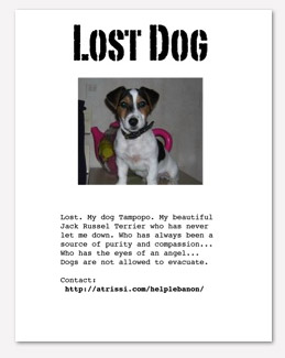 pet tribe lost dog 259x325 pet tribe lost dog 259x325