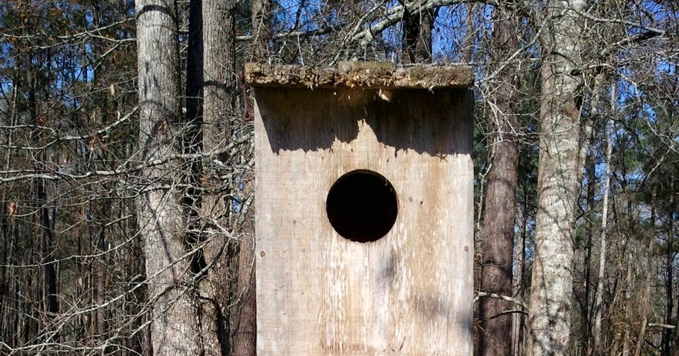 Lowcountry outdoors Wood Duck Boxes available from SCDNR for S.C