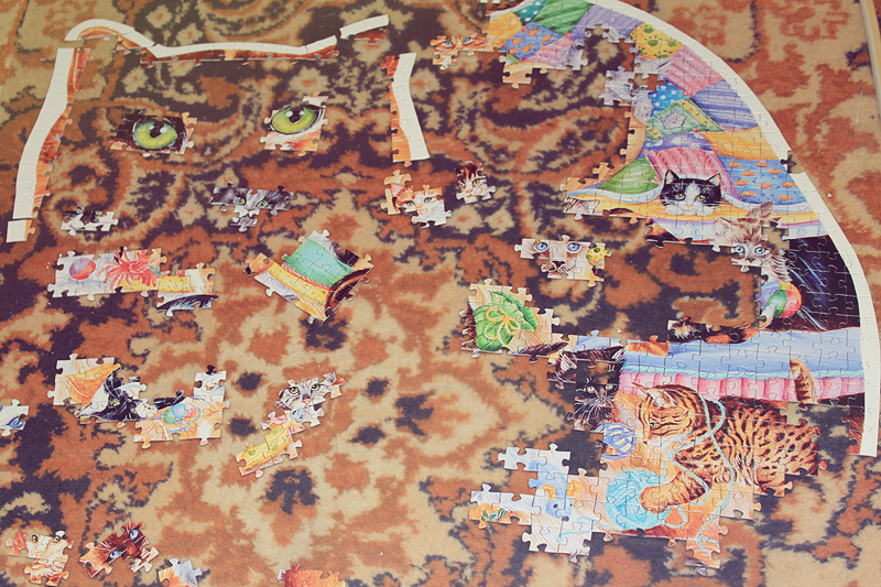Puzzle 1049 LIVE 2014, Puzzle, Hobby