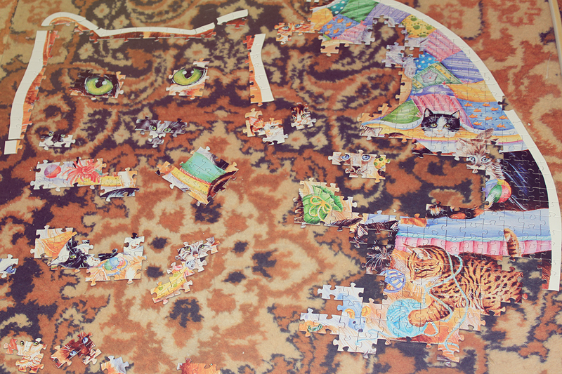 LIVE 2014, Puzzle, Hobby