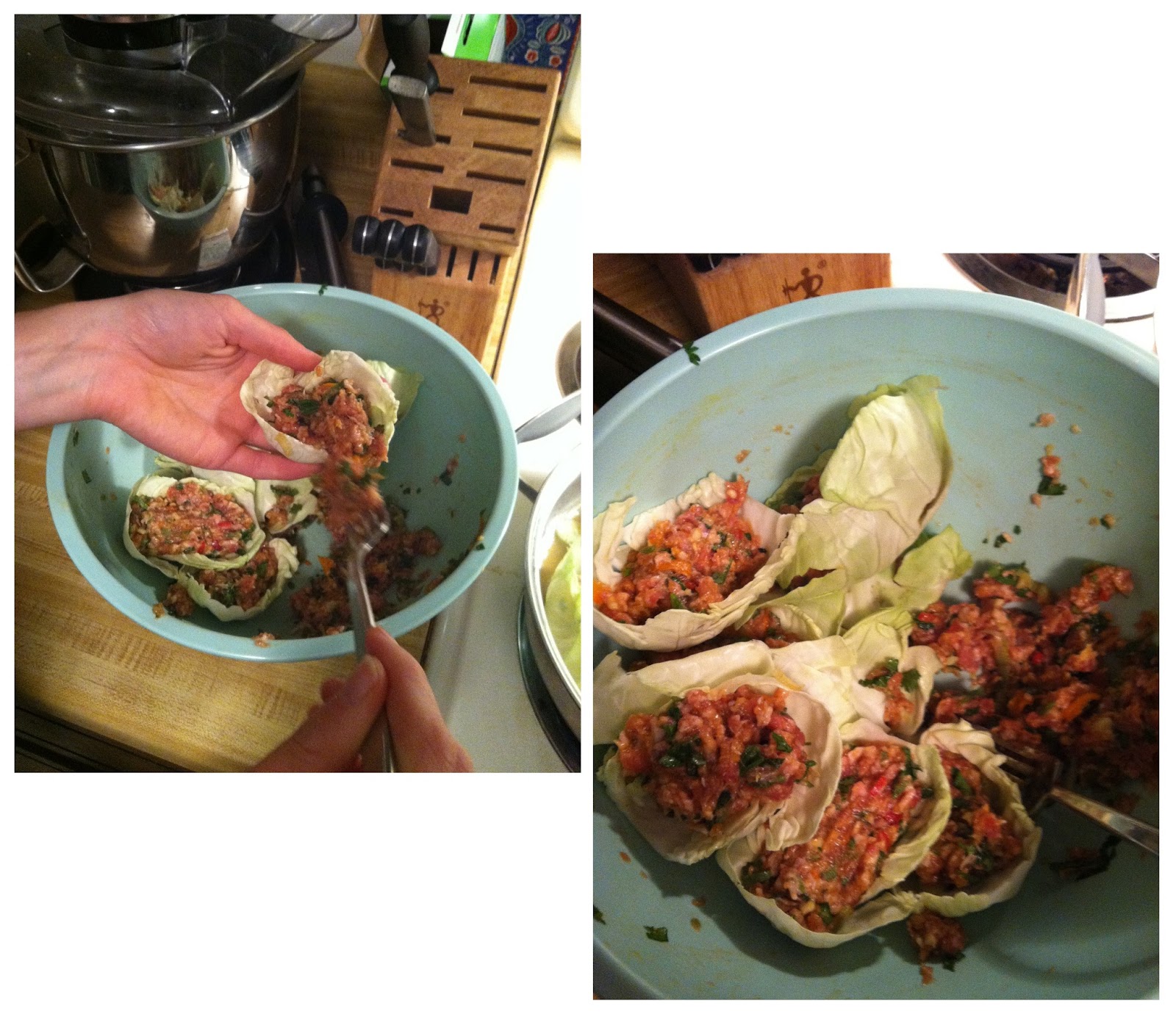 The Frugal Aesthetic Alternative Thai Dumplings Cabbage Wrapped