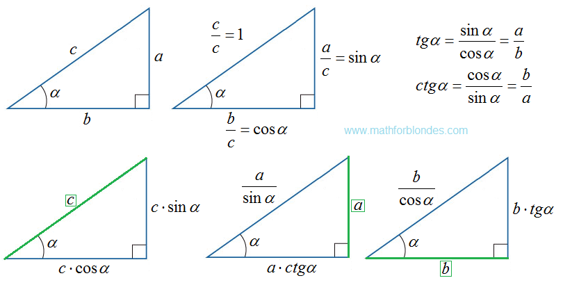 Right triangle trigonometry. Mathematics For Blondes.