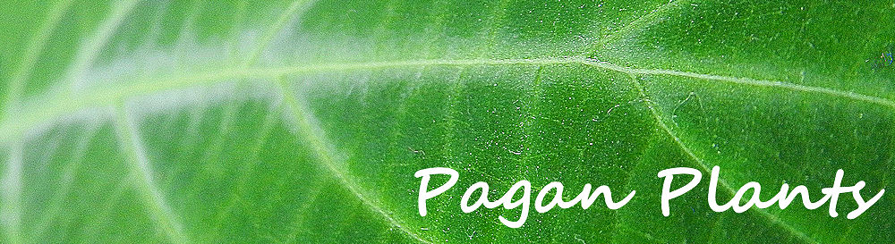 Pagan Plants