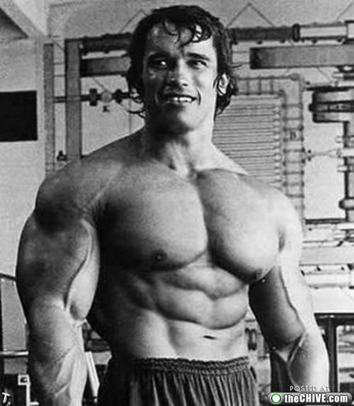 Men: Arnold Schwarzenegger Body...