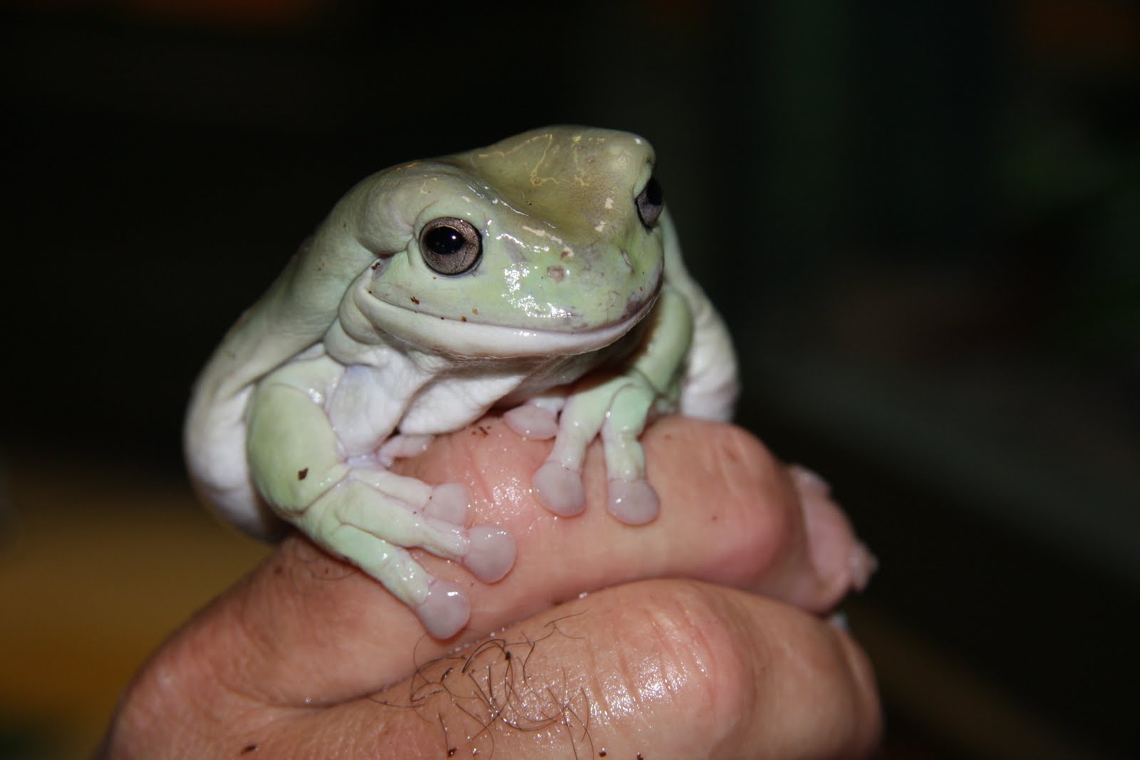 Lake Superior Zoo Minnesota Zoo Duluth, Minnesota