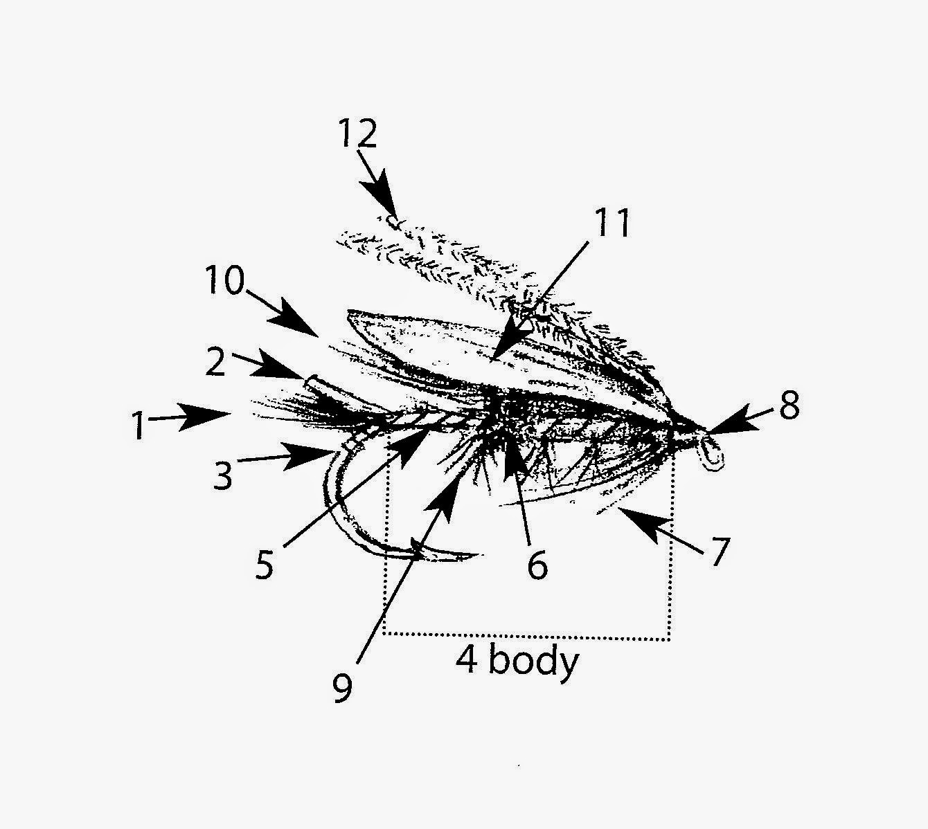 Fly Fishing with Doug Stewart Parts of a Fly