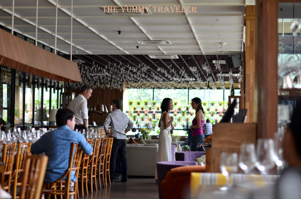 The Yummy Traveler Chalk Hill Wine Tasting