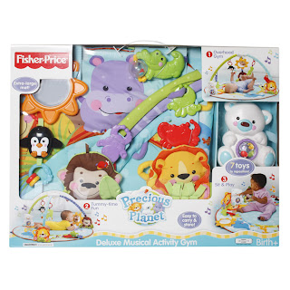deluxe musical activity gym