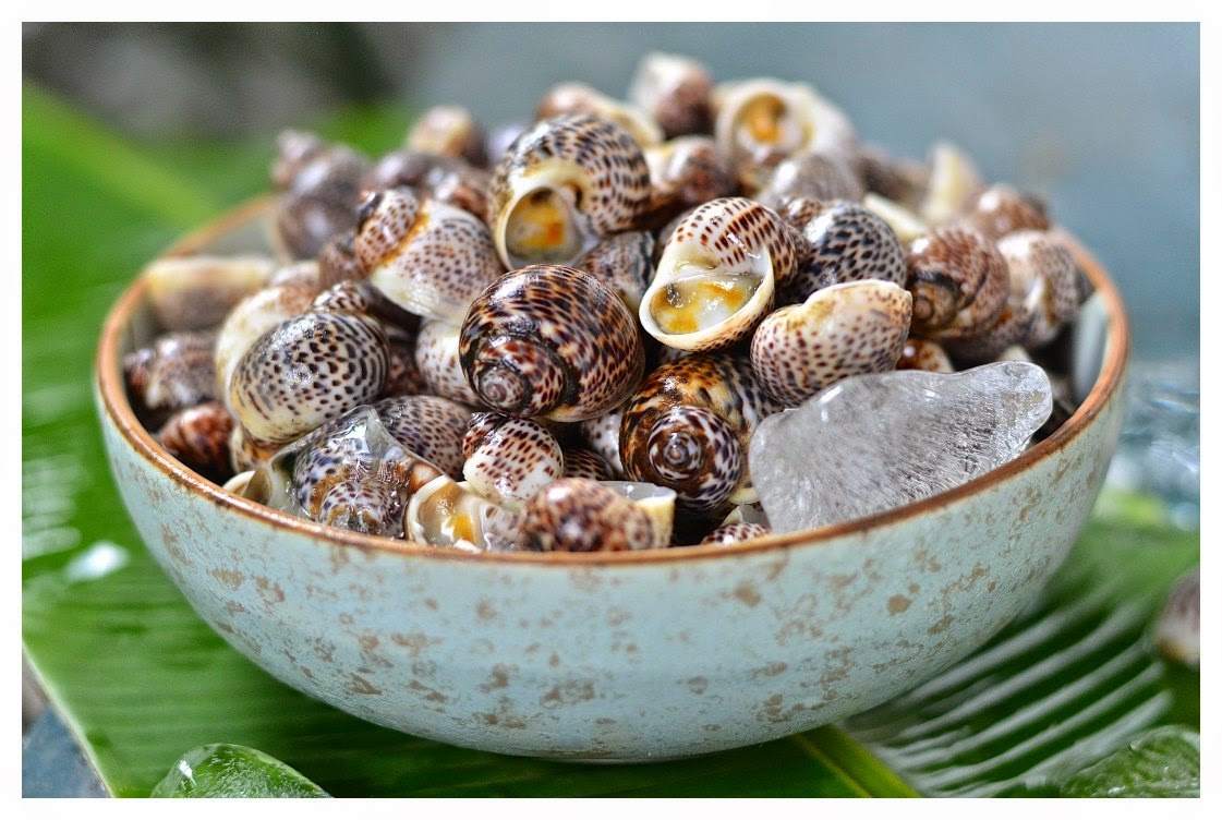 Indonesian Medan Food Siput Laut Masak Tauco / Periwinkle Indonesian Medan Food Siput Laut Masak Tauco / Periwinkle