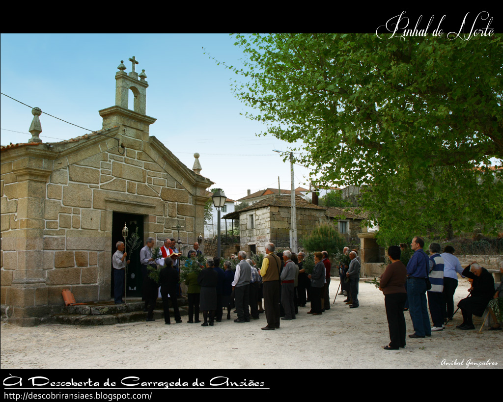 À Descoberta de Carrazeda de Ansiães À Descoberta de Pinhal do Norte (1/3)