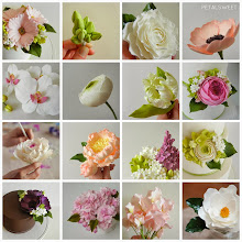 Cake Decorating Classes San Diego California Cake Decorating Classes San Diego California