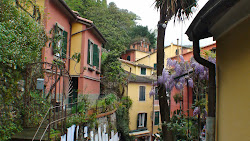 Jolie rue de Portofino