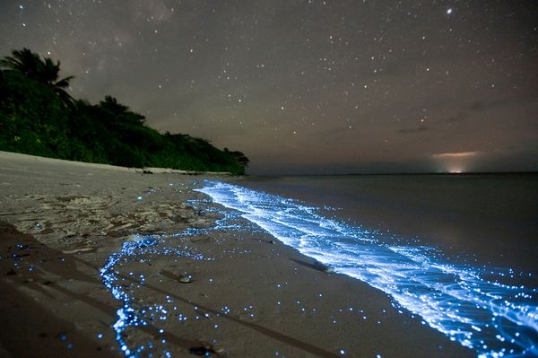 Scary Beaches: Glowing Waves