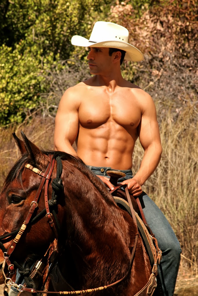 2008 naked cowboy calendar