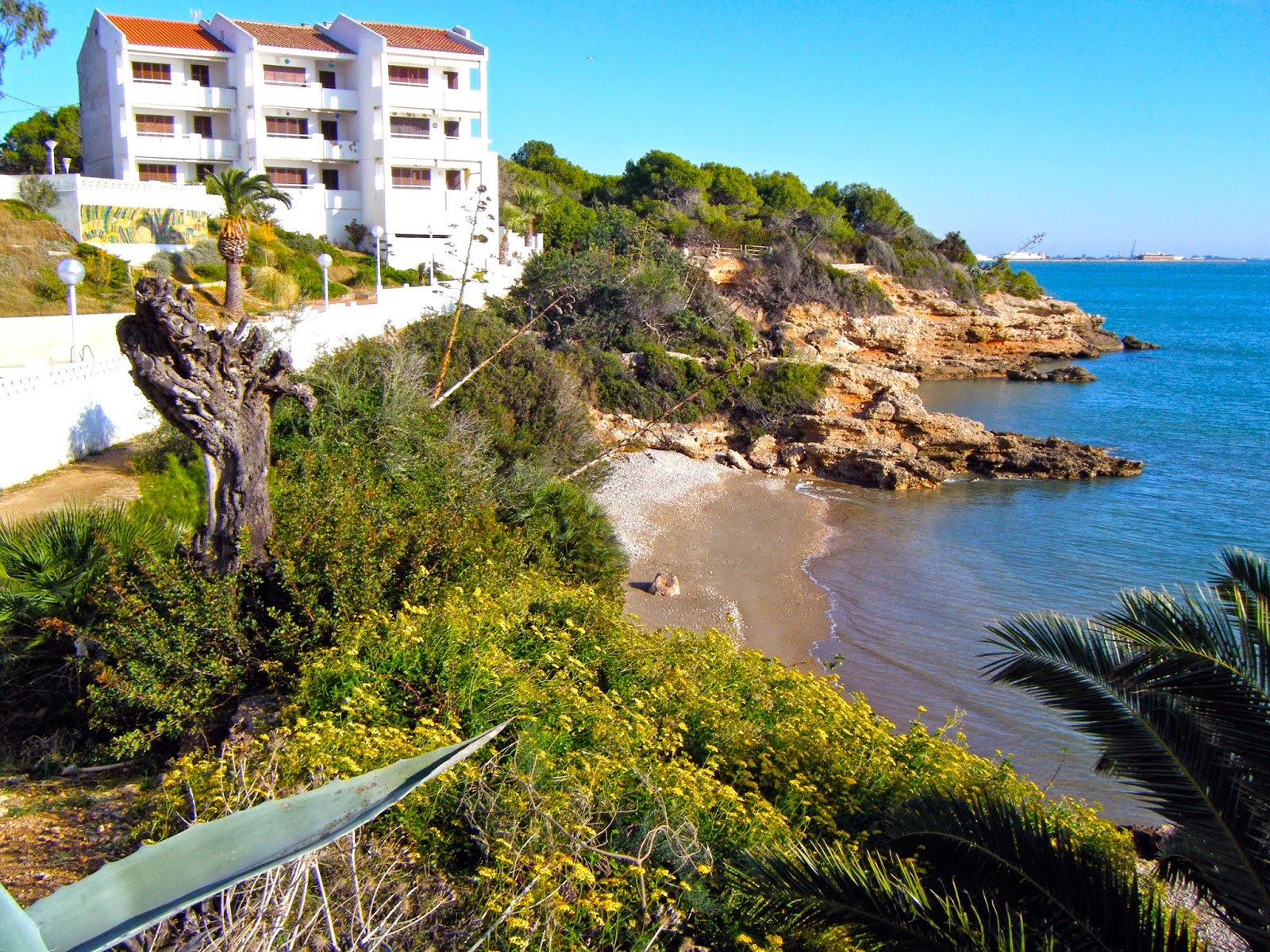 Cortines De La Cuina Costaneres