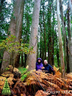 Dr. Dean Nicolle, Eucalyptus Botanist and Researcher, Director Currency Creek Arboretum, the most complete and biodiverse eucalypt collection in the world and Dr Annett Boerner, Max Planck Institute for Biogeochemistry visit the mixed wet tall eucalypt forest of Northern Spain and Portugal / Dr. Dean Nicolle, Botánico de Eucaliptos e Investigador, Director del Arboreto de Currency Creek, la coleccion mas completa y biodiversa de eucaliptos del mundo y Annett Boerner del Instituto Max Planck de Biogeoquimica visitan los bosques altos humedos mixtos de eucalipto del Norte de España y Portugal / Gustavo Iglesias Trabado / GIT Forestry Consulting, Consultoría y Servicios de Ingeniería Agroforestal, Galicia, España, Spain / Eucalyptologics, information resources on Eucalyptus cultivation around the world / Eucalyptologics, recursos de informacion sobre el cultivo del eucalipto en el mundo