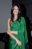 Its My Love Story Movie Audio Launch