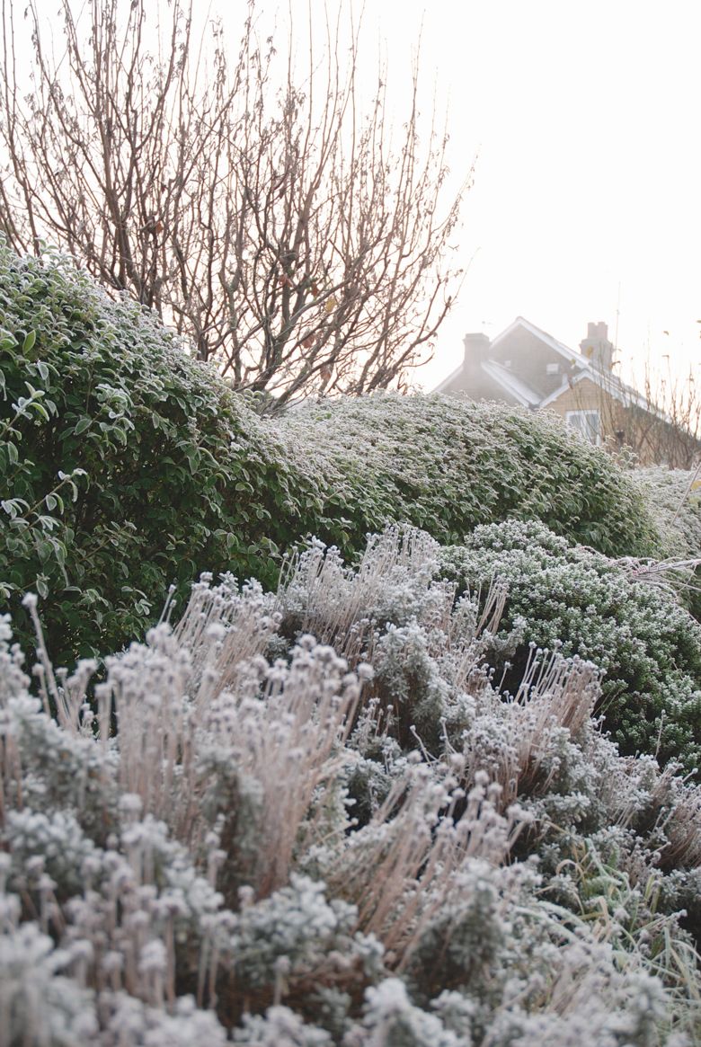 weald UK adventures a crisp, cold winter's morning