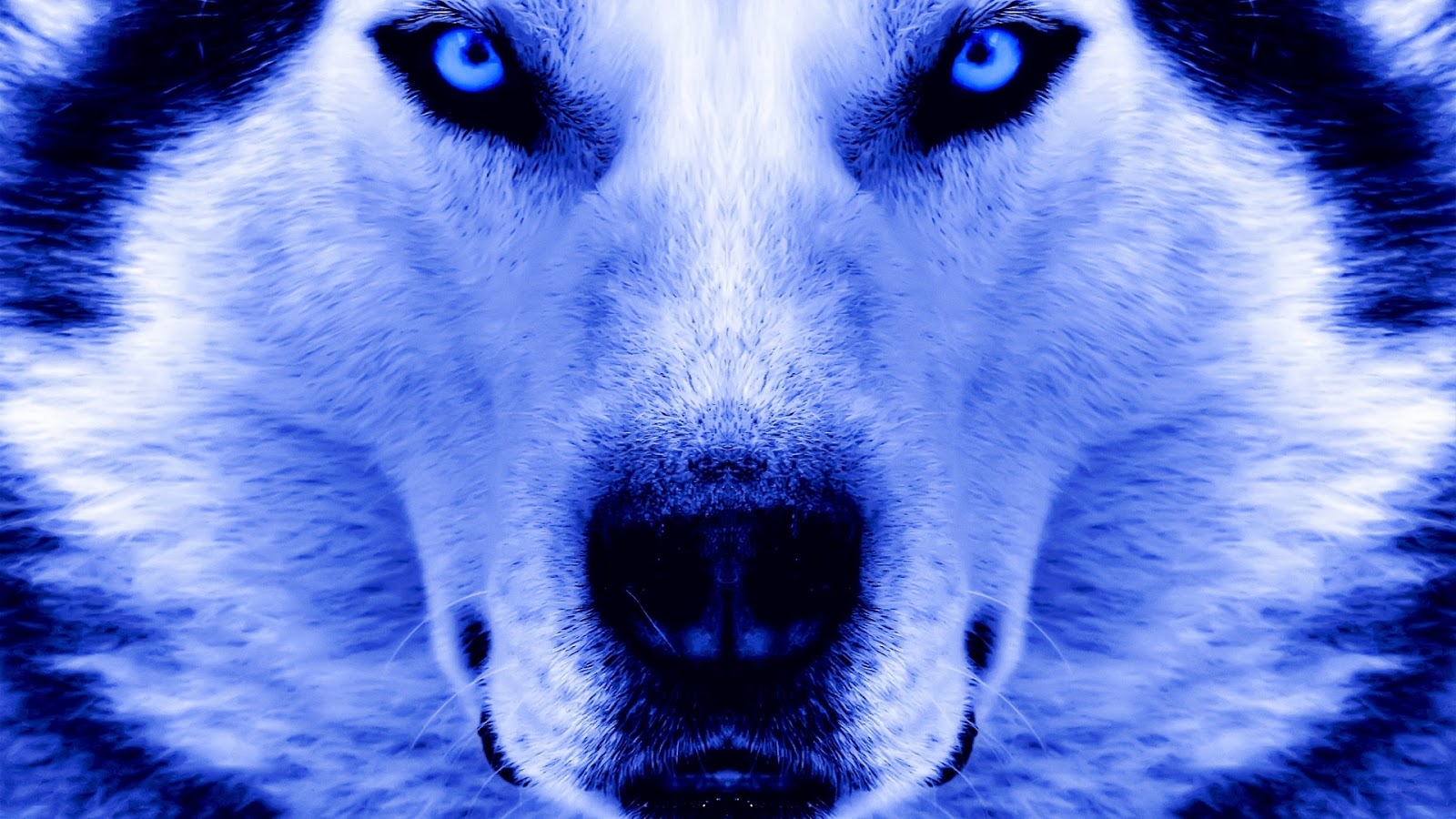 Wallpapers Desktop - (2015) Wallpapers.Setembro.2015%2B%2528534%2529 - Wallpapers Desktop - (2015)