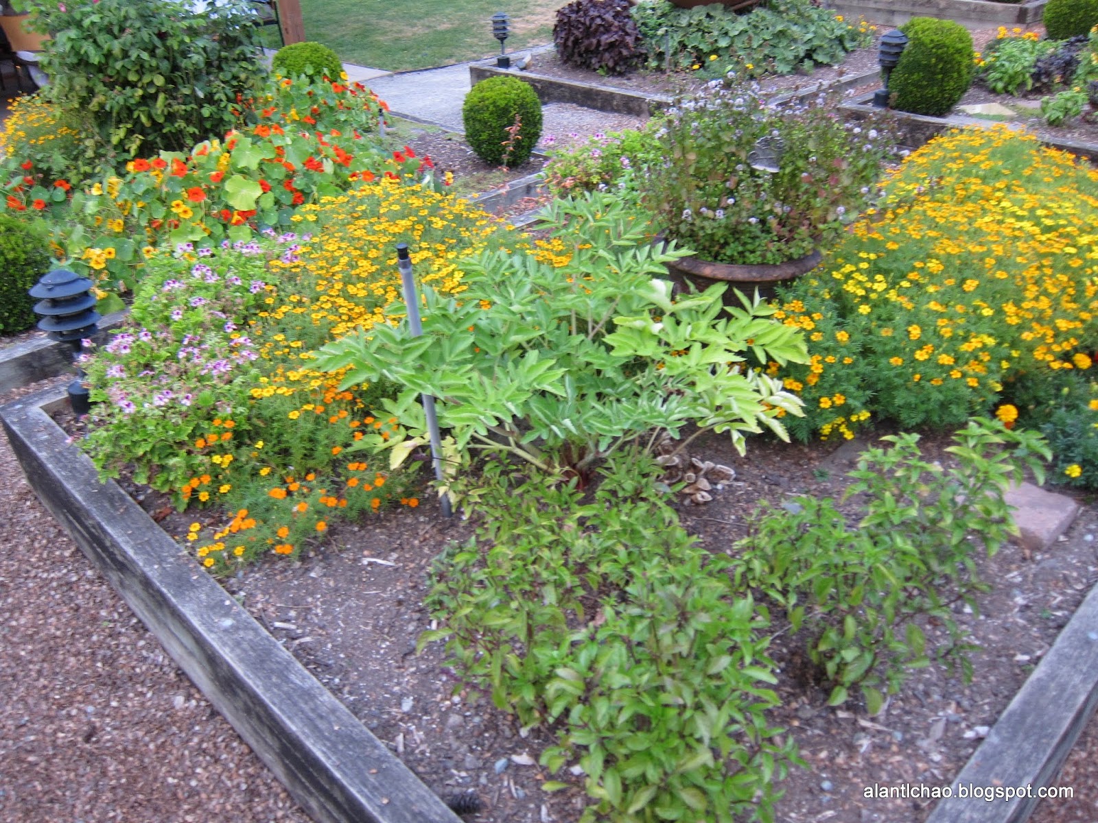 [食記] 有機食材與美食結合的極致 Herb Farm Woodinville/Seattle, WA Alan's Life