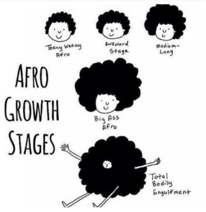 Afri Ziny The I Am Going Natural Beginner S Handbook