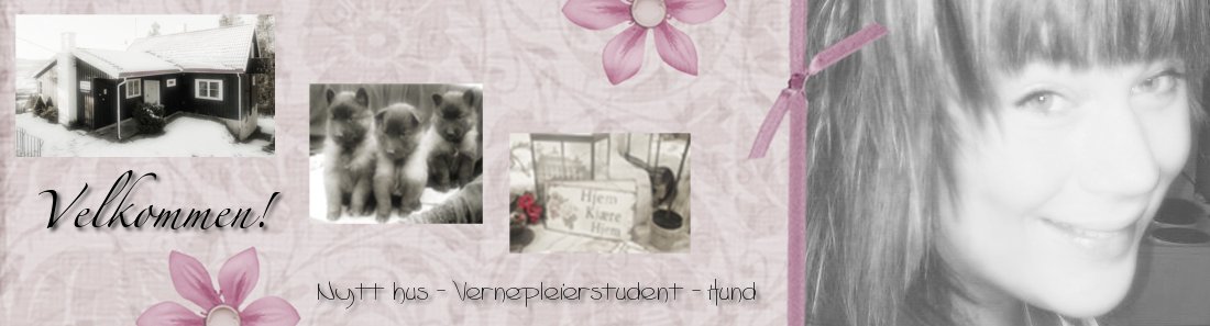 Vernepleierstudent - hus og hund