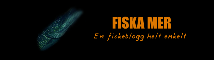 Fiska Mer