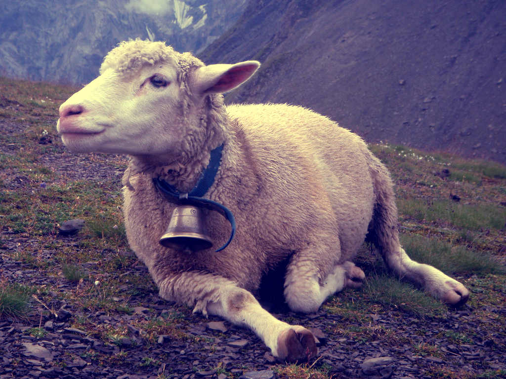 Tygarts Valley High School Class of 1964 DAY 138 COUNTING DOWN TO