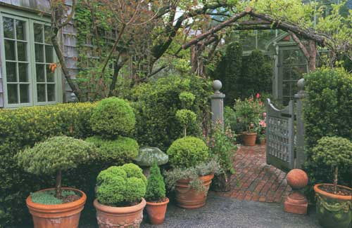 garden book